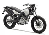 2007 Derbi Cross City 125 photo